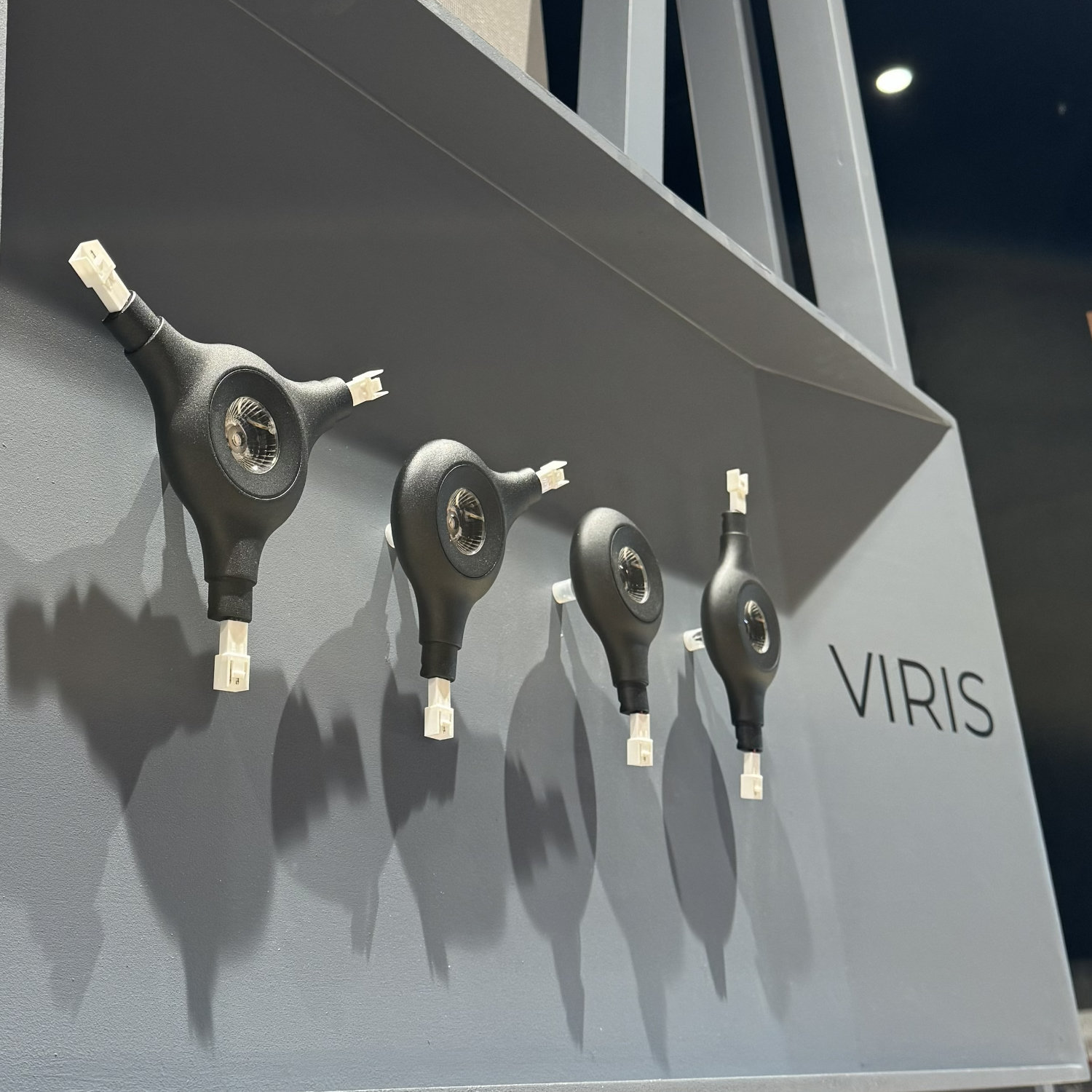 4 Image illustrating the article