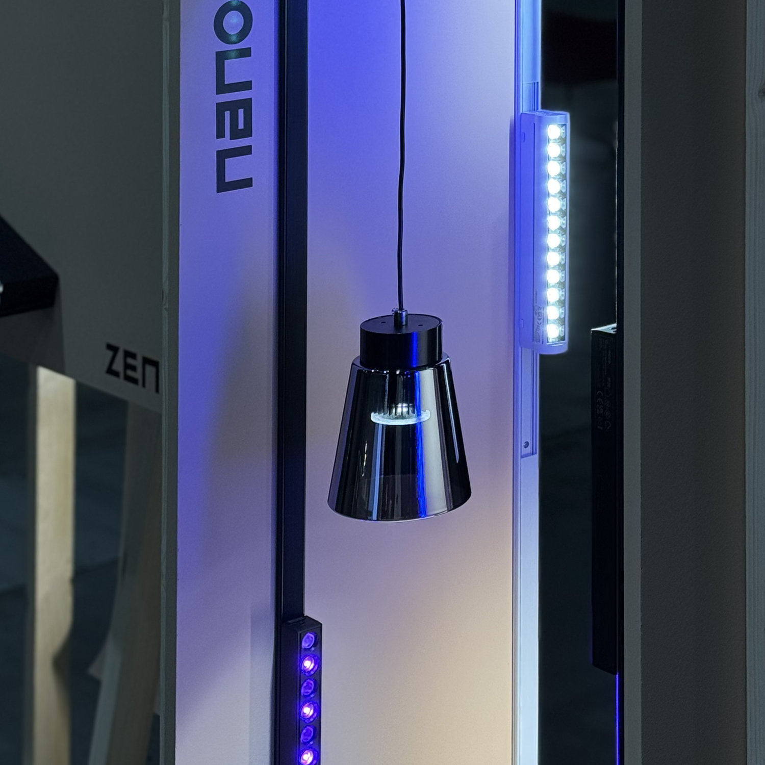 5 Image illustrating the article